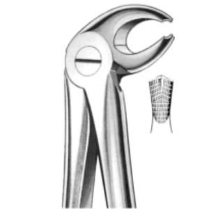 lower molar dental extraction forceps