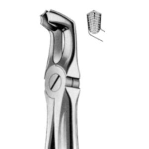 lower molar dental extraction forceps