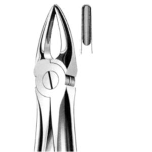 tooth root extraction forceps