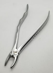 canine teeth dental extraction forceps