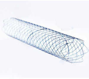 biliary stent