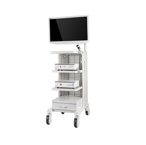 endoscopy trolley 1