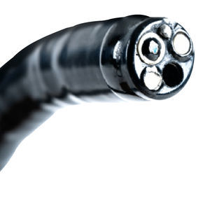 veterinary video endoscope