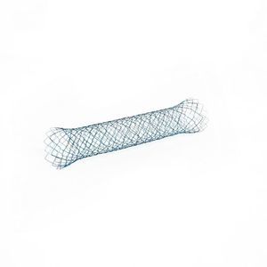 pyloric stent