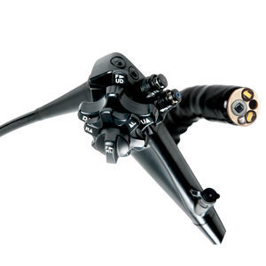 video gastroscope