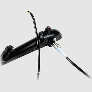 video bronchoscope 1