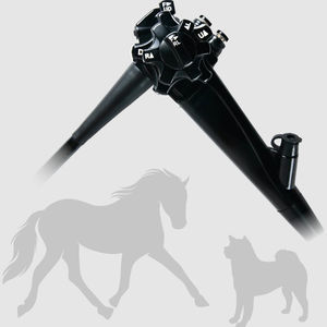video veterinary gastroscope