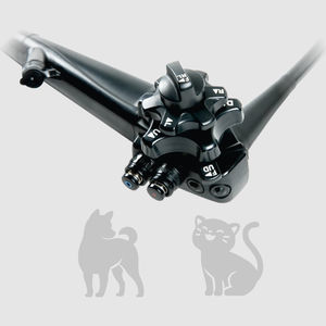 video veterinary gastroscope