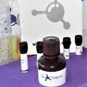 oxidative stress assay kit