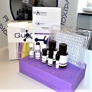 oxidative stress assay kit / enzymatic / colorimetric