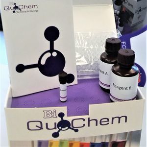 oxidative stress assay kit