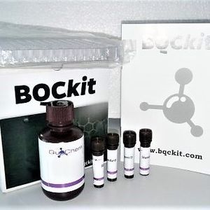 identification analysis assay kit