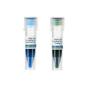 dye reagent / solution / for research / for electrophoresis