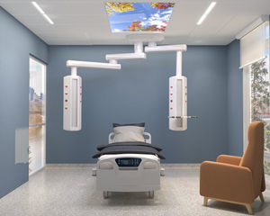 ceiling-mounted double medical pendant