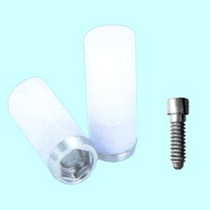 straight implant abutment