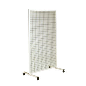posture mirror on casters