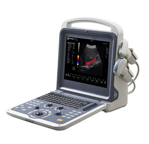 portable ultrasound system