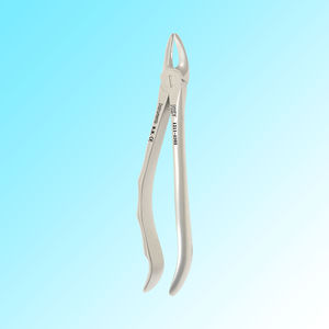 premolar dental extraction forceps