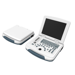 portable ultrasound system