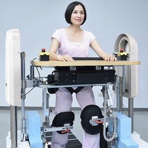 balance rehabilitation system