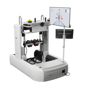 balance rehabilitation system
