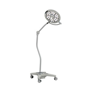 veterinary examination lamp