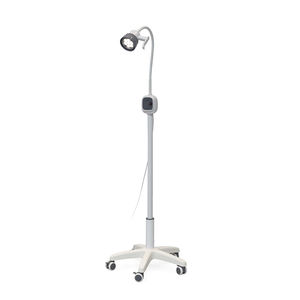 veterinary examination lamp