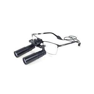 glasses-type surgical loupe 1