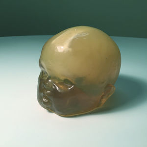 ultrasound imaging test phantom