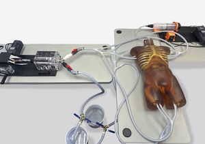 ultrasound imaging test phantom