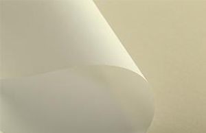 membrane filter