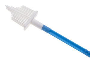 cervical cytology brush