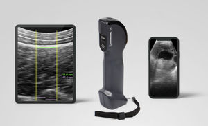 portable veterinary ultrasound system