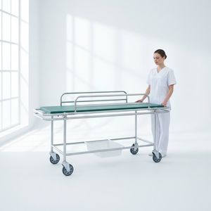 transfer trolley 1