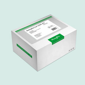 cell assay kit 1