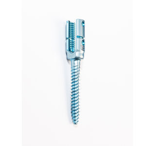 monoaxial pedicle screw 1