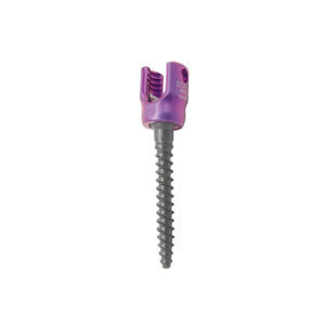 polyaxial pedicle screw 1