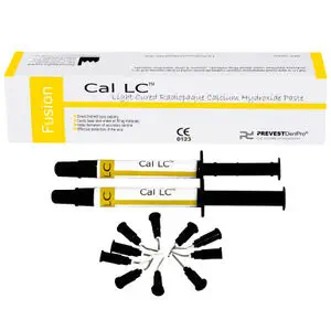 Buy Prevest DenPro Crysta Restorative II GIC Online in India- KCK Direct