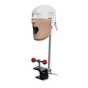 dental training manikin