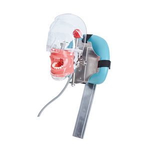 dental training manikin