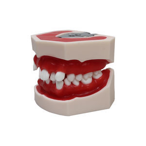 denture model 1