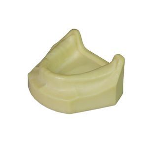 dental model 1