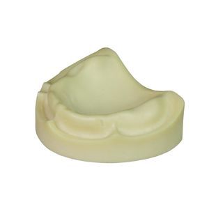 dental model 1