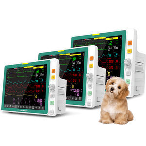 portable multi-parameter monitor