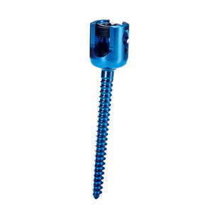 thoracic-lumbar vertebra pedicle screw