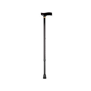 walking stick