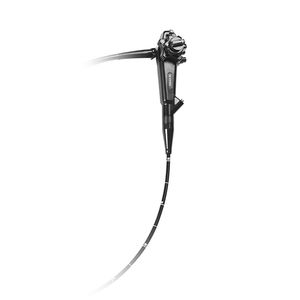 video veterinary bronchoscope