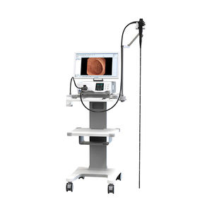 video veterinary bronchoscope