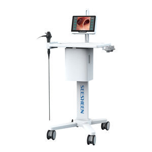 pediatric video bronchoscope