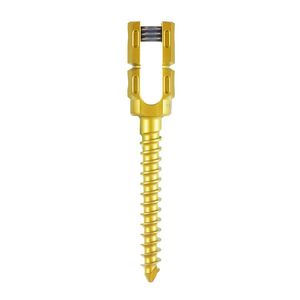 thoracic-lumbar vertebra pedicle screw